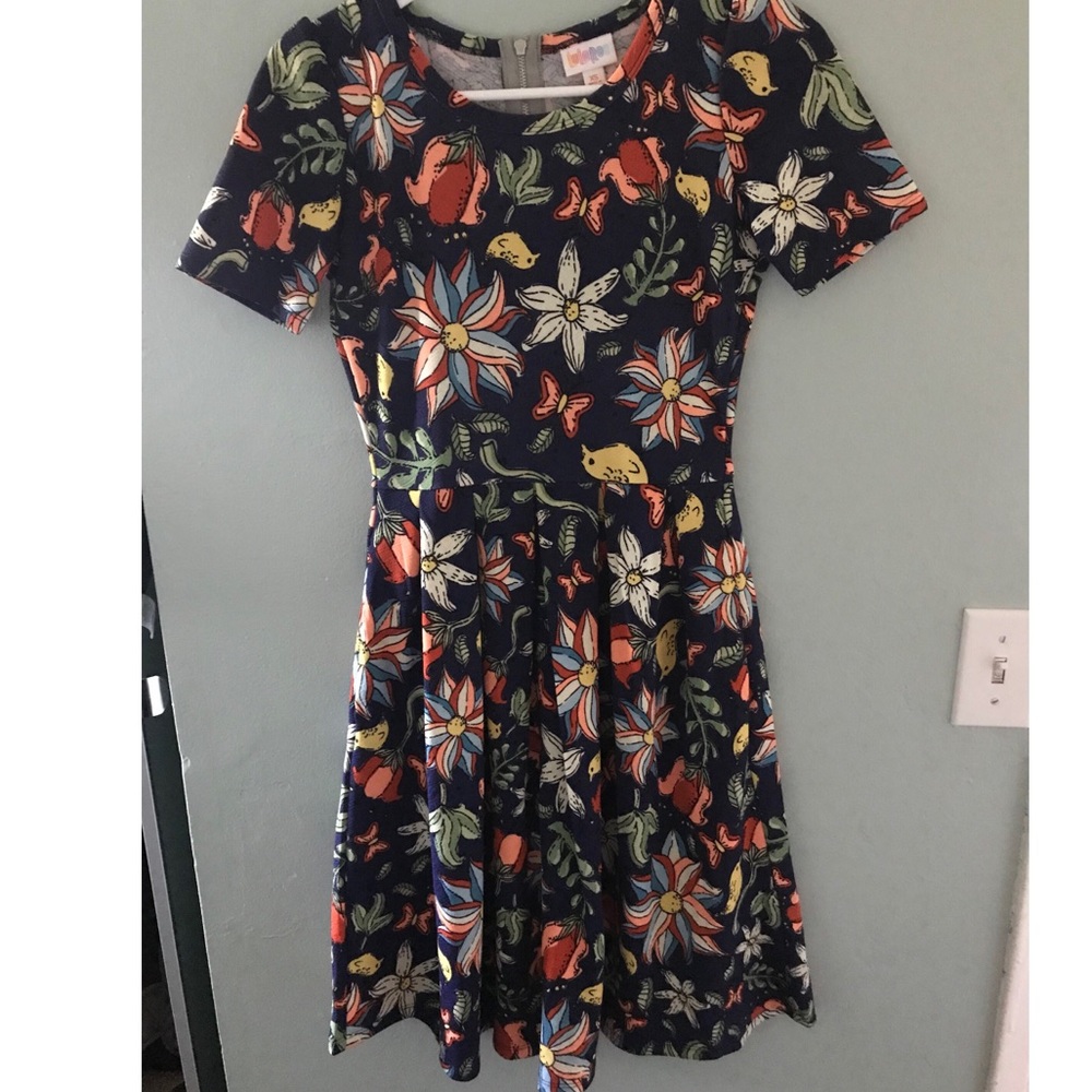 LulaRoe dress